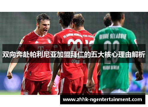 双向奔赴帕利尼亚加盟拜仁的五大核心理由解析