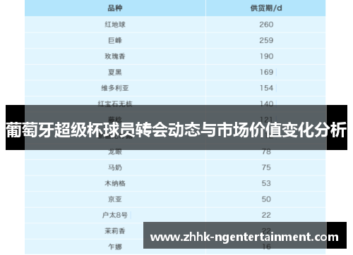 葡萄牙超级杯球员转会动态与市场价值变化分析